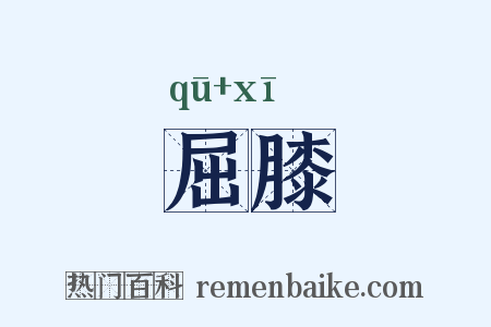 屈膝是什么意思的图片
